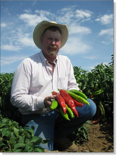 Big Jim Chile Pepper Seed 