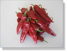 Hatch New Mex 6-4 Chile Pepper Seed
