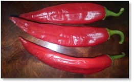 Joe. E. Parker Chile Pepper Seed